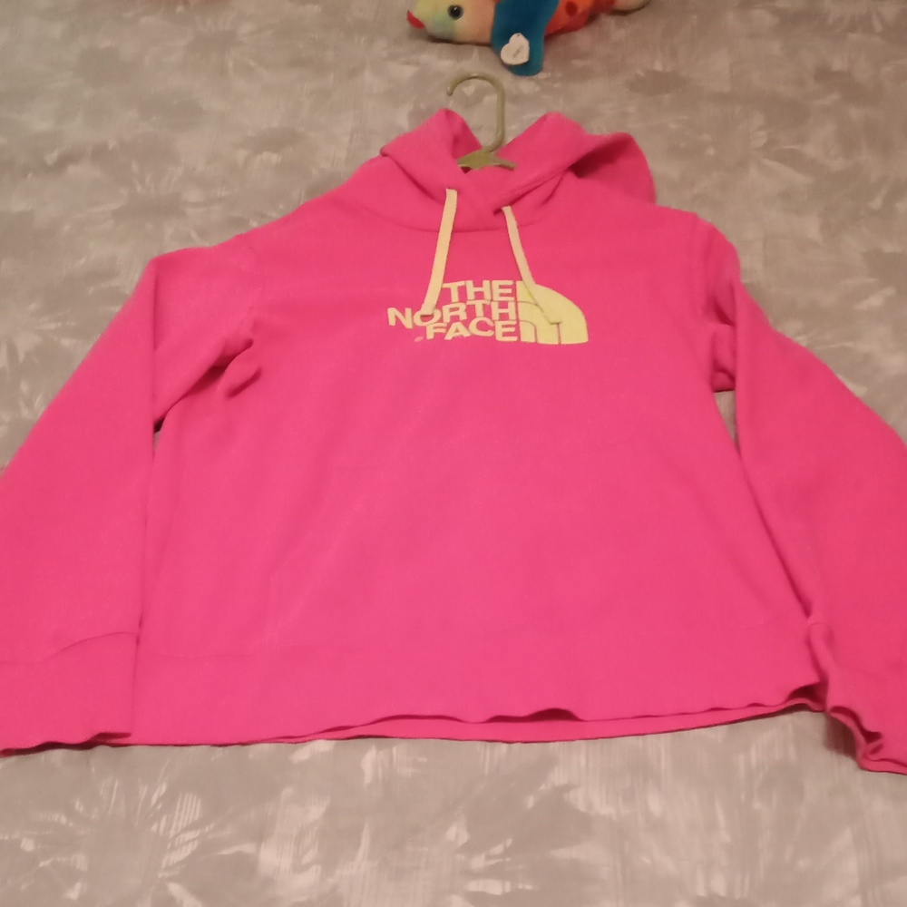 🧘 North face sweatshirt